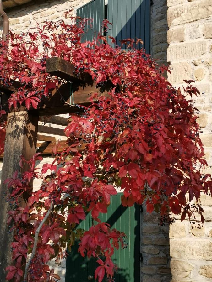 B&B Il Sogno Dovadola Exterior photo